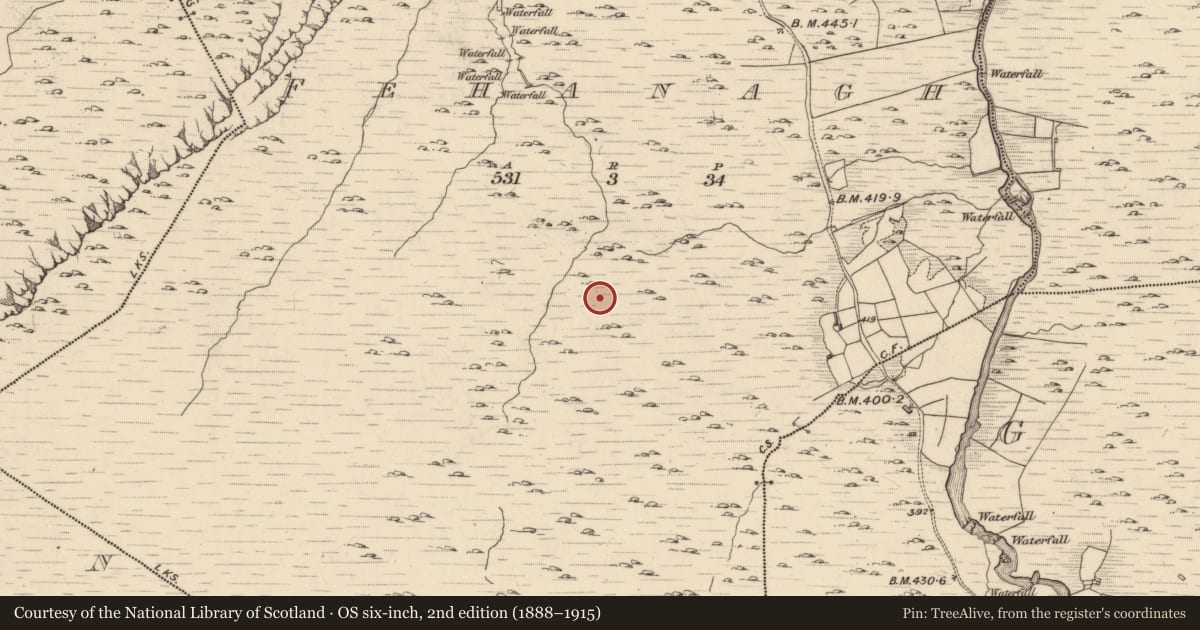 Ordnance Survey six-inch map, 2nd edition (1888–1915) covering the location of Hut site, Fehanagh, County Kerry, with a pin at the register's coordinates
