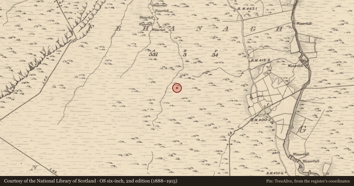 Ordnance Survey six-inch map, 2nd edition (1888–1915) covering the location of Hut site, Fehanagh, County Kerry, with a pin at the register's coordinates