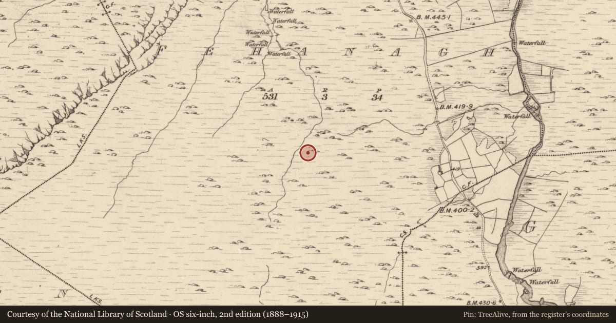 Ordnance Survey six-inch map, 2nd edition (1888–1915) covering the location of Enclosure, Fehanagh, County Kerry, with a pin at the register's coordinates