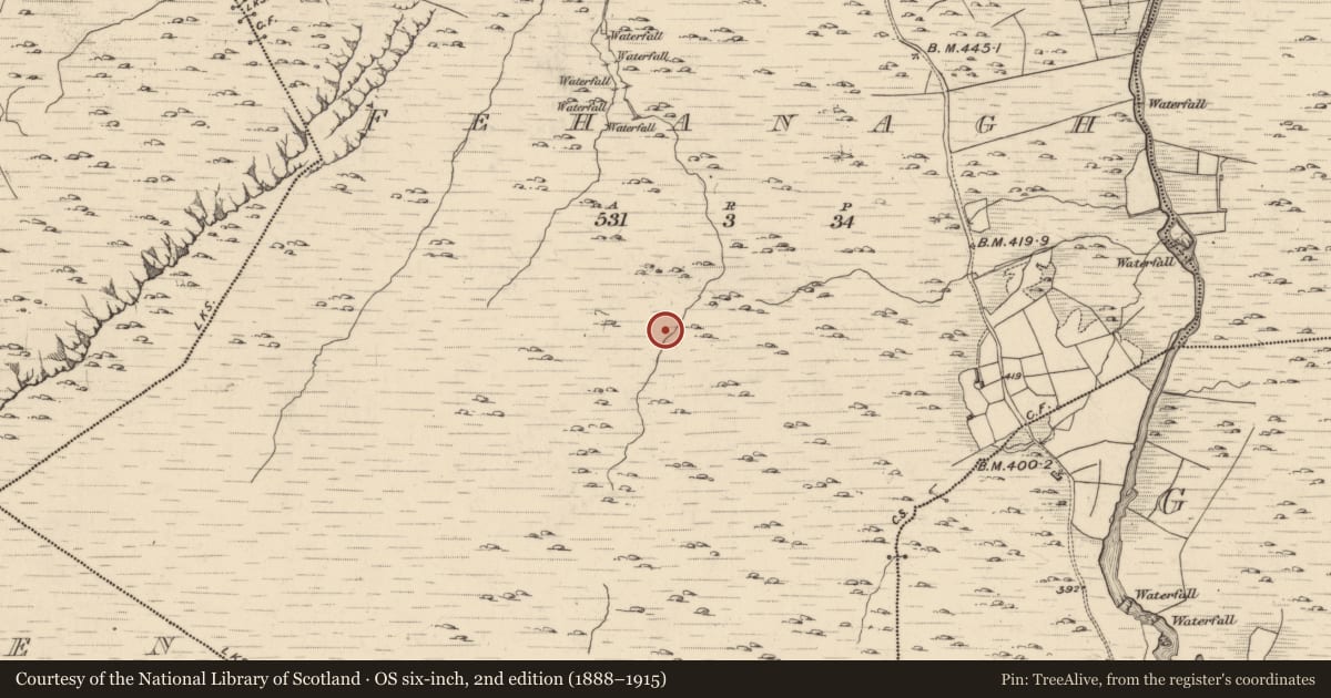 Ordnance Survey six-inch map, 2nd edition (1888–1915) covering the location of Field boundary, Fehanagh, County Kerry, with a pin at the register's coordinates