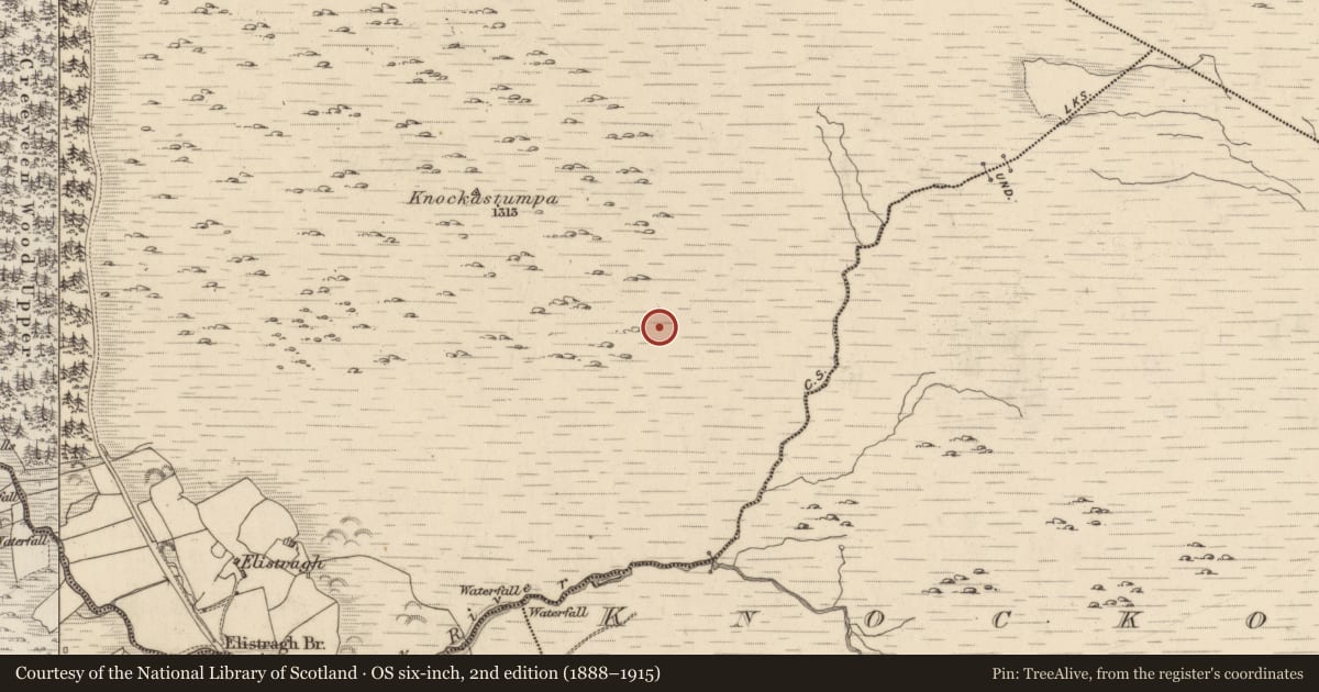 Ordnance Survey six-inch map, 2nd edition (1888–1915) covering the location of Hut site, Creeveen, County Kerry, with a pin at the register's coordinates
