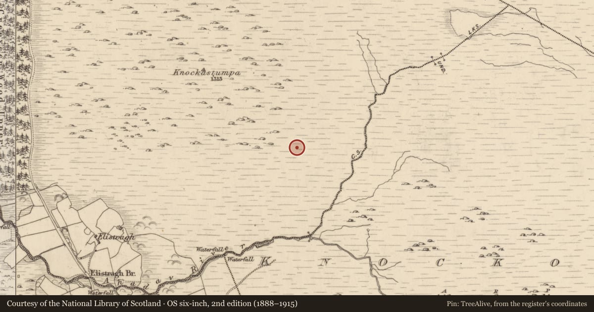 Ordnance Survey six-inch map, 2nd edition (1888–1915) covering the location of Megalithic tomb - wedge tomb, Creeveen, County Kerry, with a pin at the register's coordinates