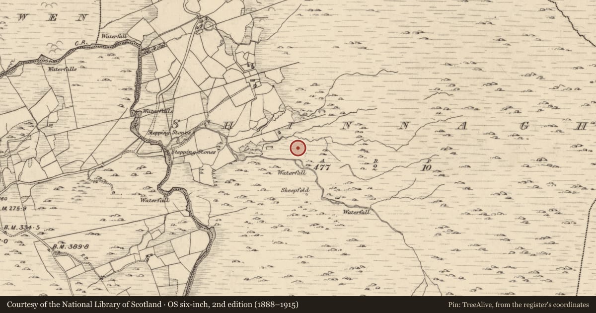 Ordnance Survey six-inch map, 2nd edition (1888–1915) covering the location of Standing stone, Shinnagh, County Kerry, with a pin at the register's coordinates