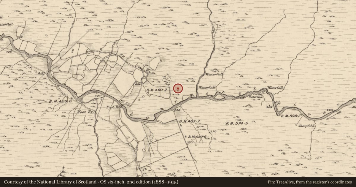 Ordnance Survey six-inch map, 2nd edition (1888–1915) covering the location of Enclosure, Glanrastel, County Kerry, with a pin at the register's coordinates