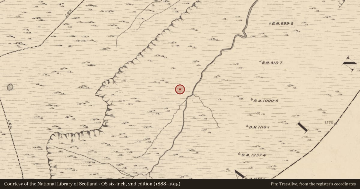 Ordnance Survey six-inch map, 2nd edition (1888–1915) covering the location of Hut site, Baurearagh, County Kerry, with a pin at the register's coordinates