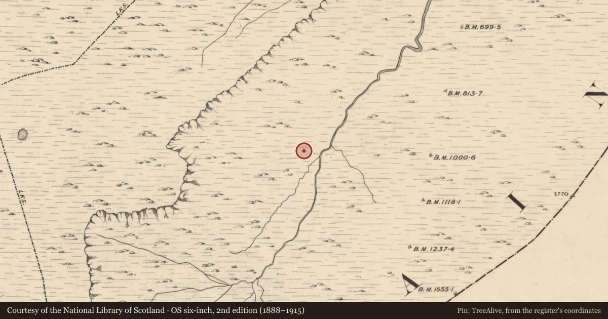 Ordnance Survey six-inch map, 2nd edition (1888–1915) covering the location of Hut site, Baurearagh, County Kerry, with a pin at the register's coordinates