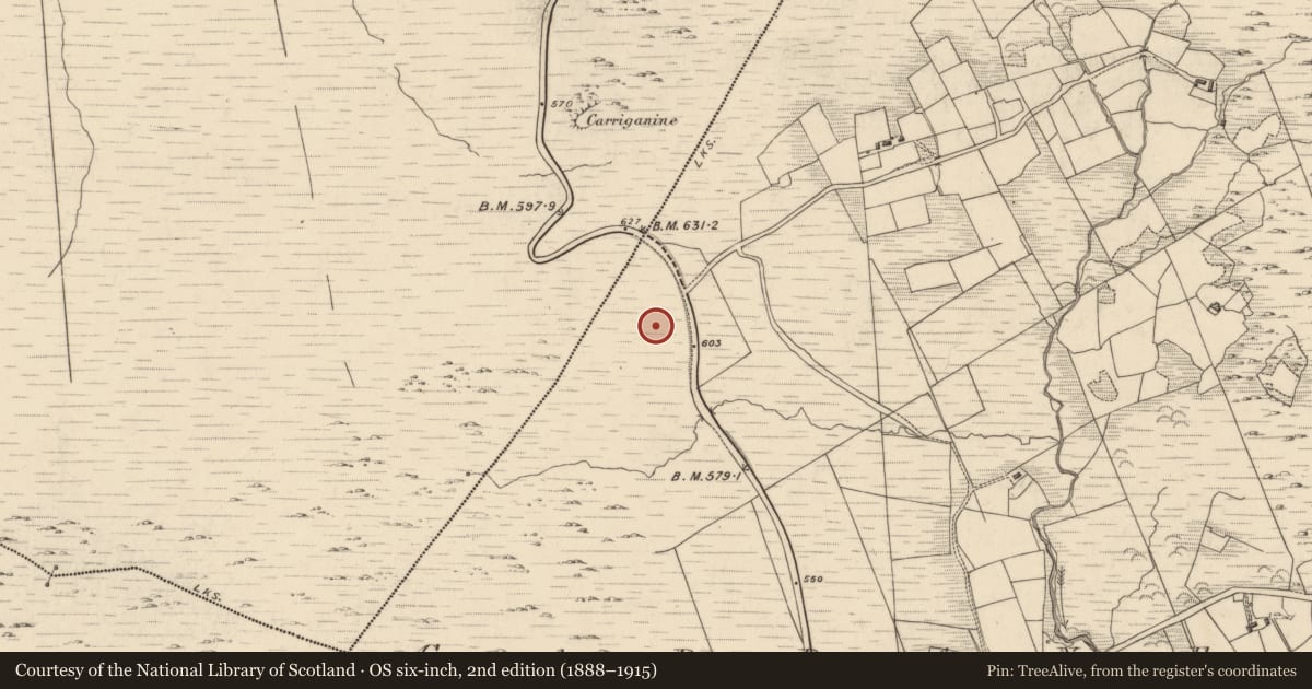 Ordnance Survey six-inch map, 2nd edition (1888–1915) covering the location of Field boundary, Garranes, County Kerry, with a pin at the register's coordinates