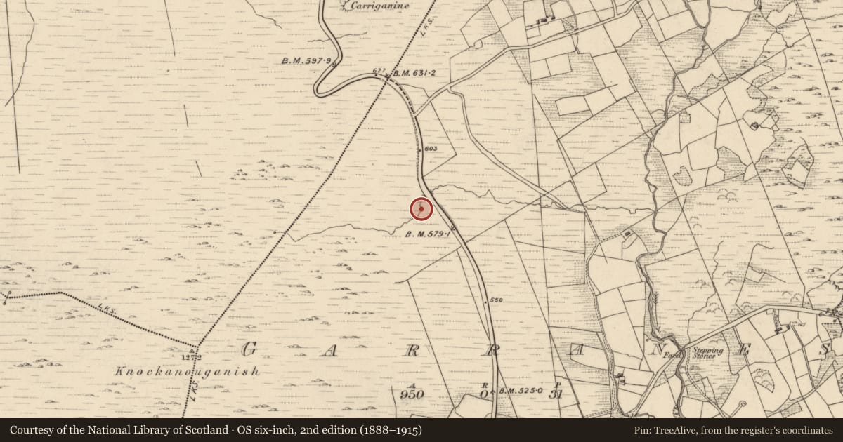 Ordnance Survey six-inch map, 2nd edition (1888–1915) covering the location of Burnt spread, Garranes, County Kerry, with a pin at the register's coordinates
