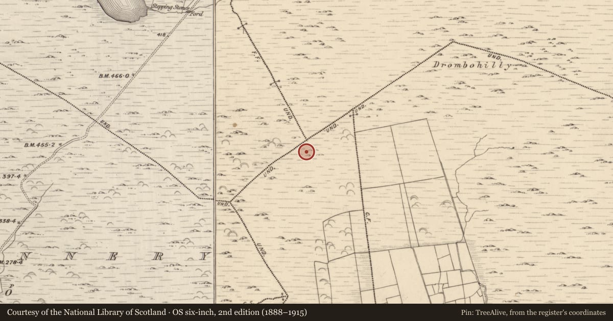 Ordnance Survey six-inch map, 2nd edition (1888–1915) covering the location of Field boundary, Cummers West, Lehid, County Kerry, with a pin at the register's coordinates