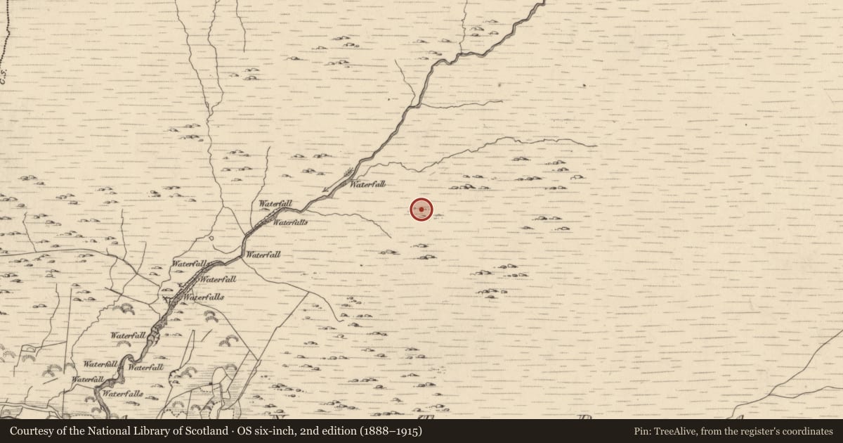 Ordnance Survey six-inch map, 2nd edition (1888–1915) covering the location of Standing stone, Glantrasna, County Kerry, with a pin at the register's coordinates