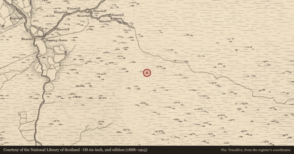 Ordnance Survey six-inch map, 2nd edition (1888–1915) covering the location of Hut site, Glantrasna, County Kerry, with a pin at the register's coordinates