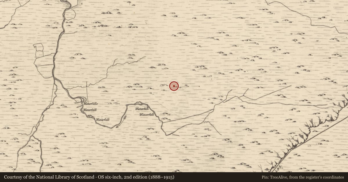 Ordnance Survey six-inch map, 2nd edition (1888–1915) covering the location of Field boundary, Glantrasna, County Kerry, with a pin at the register's coordinates