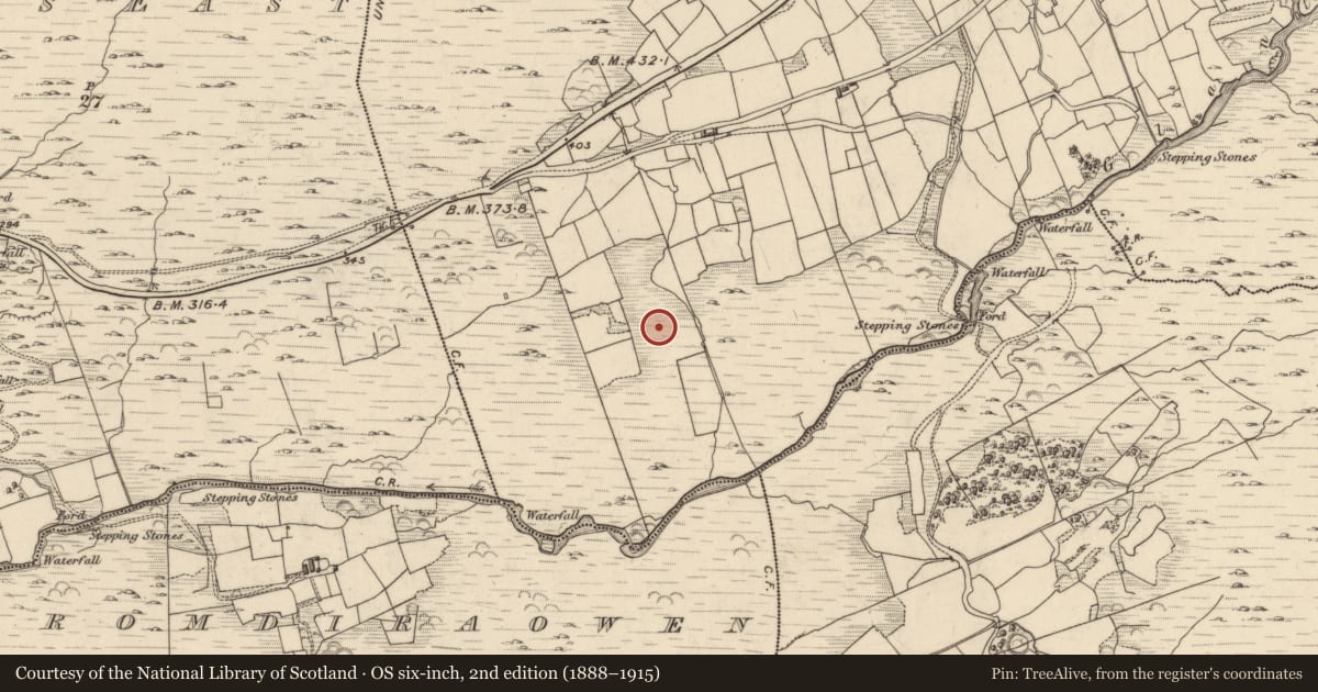 Ordnance Survey six-inch map, 2nd edition (1888–1915) covering the location of Fulacht fia, Garranes, County Kerry, with a pin at the register's coordinates
