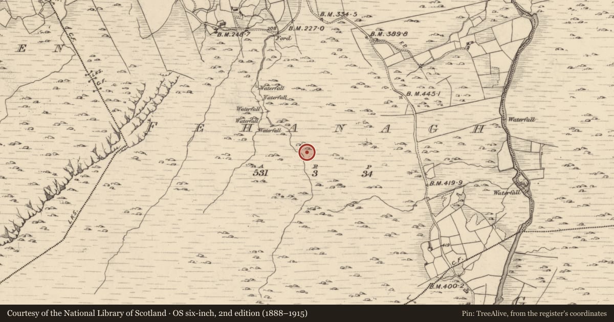Ordnance Survey six-inch map, 2nd edition (1888–1915) covering the location of Hut site, Fehanagh, County Kerry, with a pin at the register's coordinates