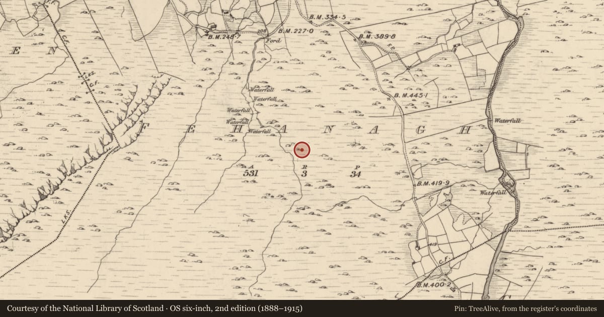 Ordnance Survey six-inch map, 2nd edition (1888–1915) covering the location of Hut site, Fehanagh, County Kerry, with a pin at the register's coordinates