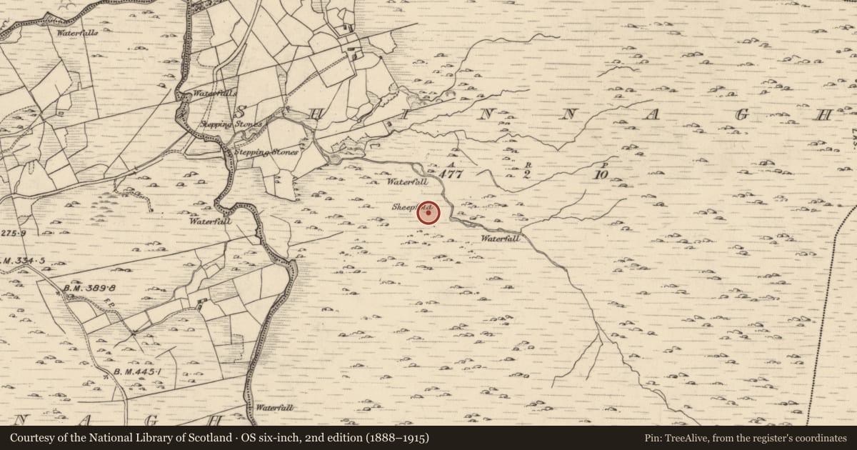 Ordnance Survey six-inch map, 2nd edition (1888–1915) covering the location of Enclosure, Shinnagh, County Kerry, with a pin at the register's coordinates