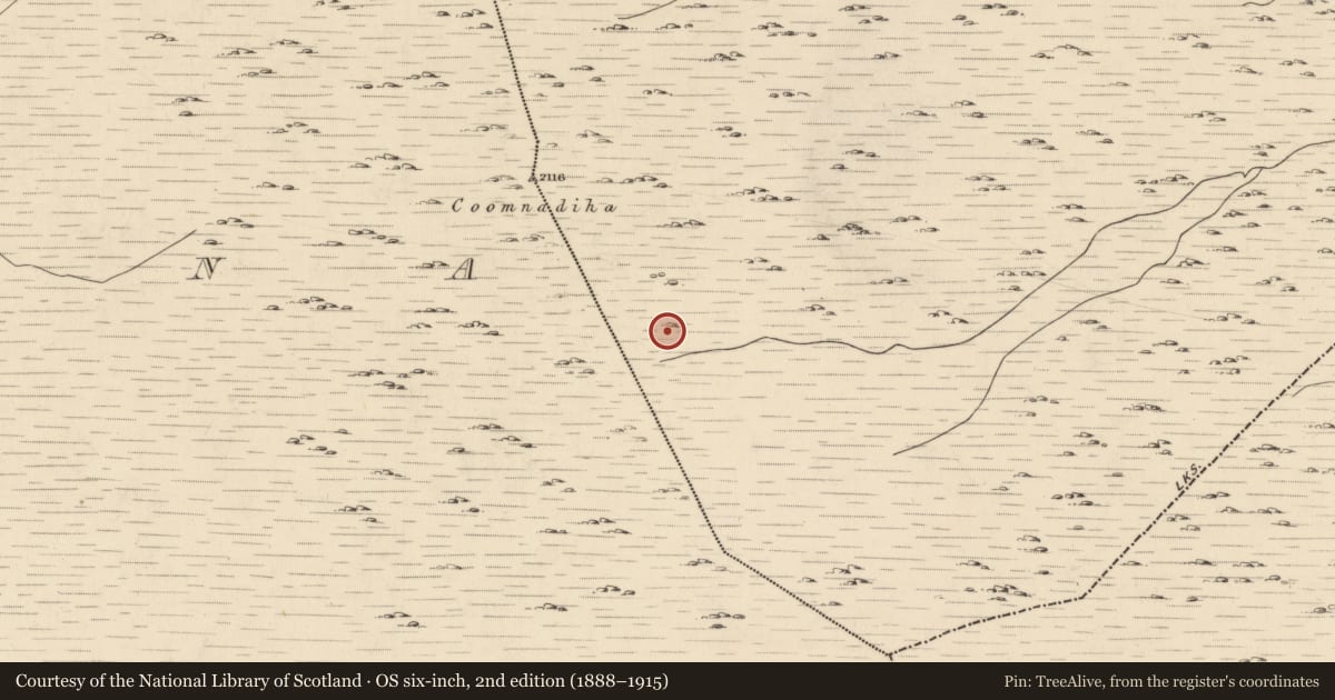 Ordnance Survey six-inch map, 2nd edition (1888–1915) covering the location of Cairn - unclassified, Rossard, County Kerry, with a pin at the register's coordinates