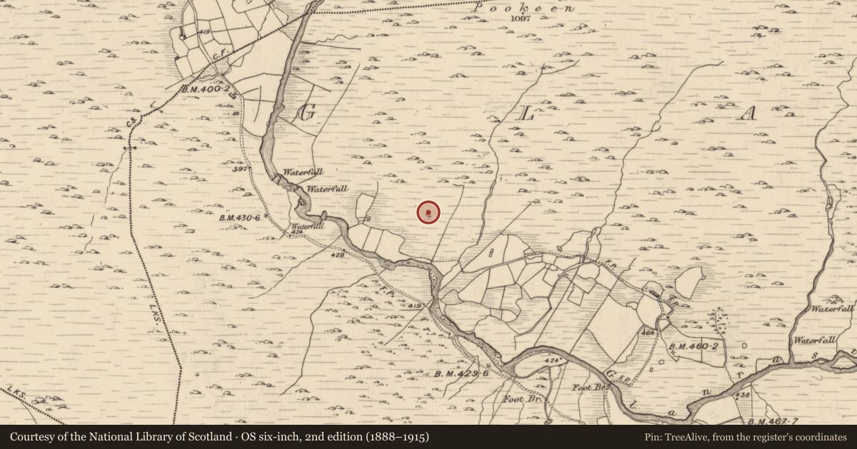 Ordnance Survey six-inch map, 2nd edition (1888–1915) covering the location of Enclosure, Glanrastel, County Kerry, with a pin at the register's coordinates