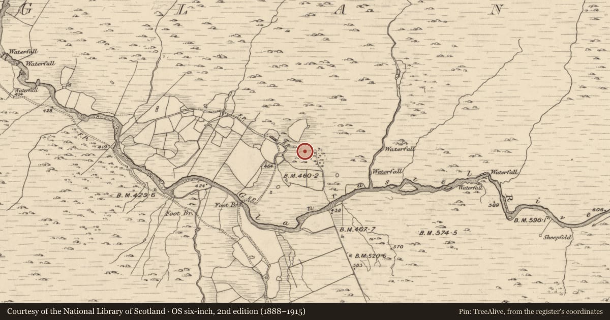 Ordnance Survey six-inch map, 2nd edition (1888–1915) covering the location of Fulacht fia, Glanrastel, County Kerry, with a pin at the register's coordinates