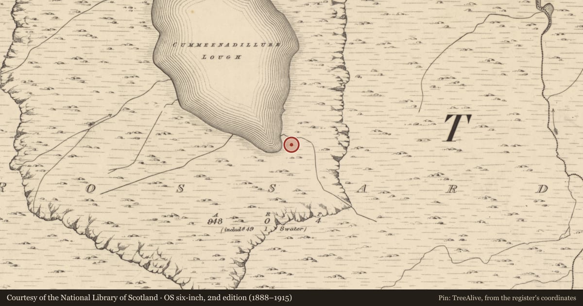 Ordnance Survey six-inch map, 2nd edition (1888–1915) covering the location of Hut site, Rossard, County Kerry, with a pin at the register's coordinates
