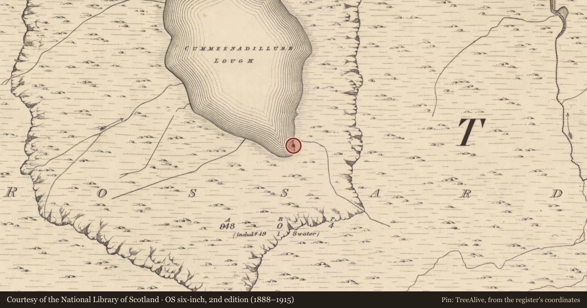 Ordnance Survey six-inch map, 2nd edition (1888–1915) covering the location of Hut site, Rossard, County Kerry, with a pin at the register's coordinates