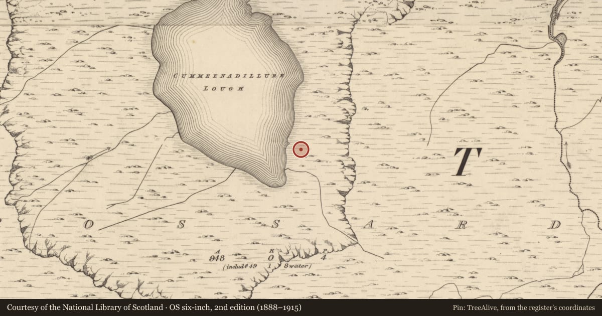 Ordnance Survey six-inch map, 2nd edition (1888–1915) covering the location of Hut site, Rossard, County Kerry, with a pin at the register's coordinates