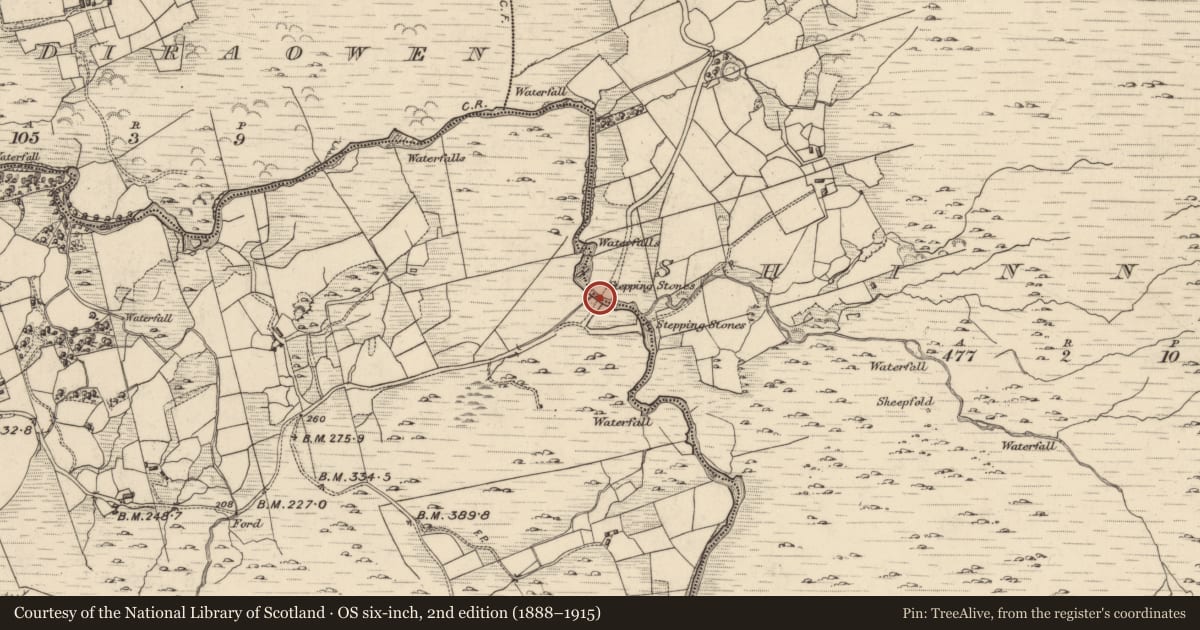 Ordnance Survey six-inch map, 2nd edition (1888–1915) covering the location of Stepping stones, Fehanagh, Shinnagh, County Kerry, with a pin at the register's coordinates