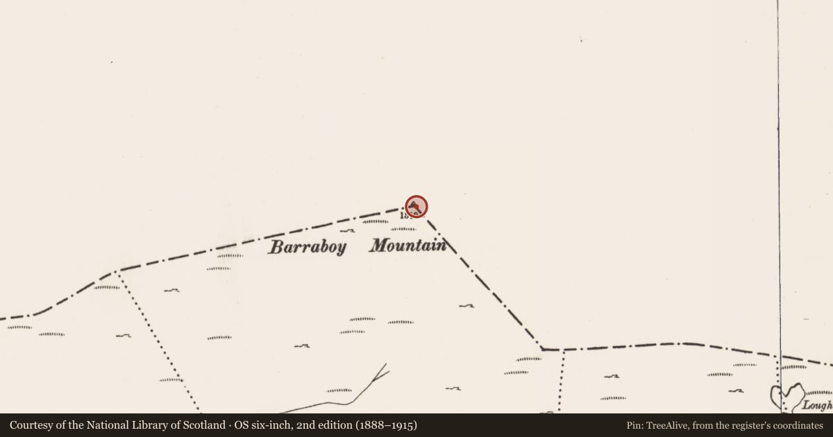 Ordnance Survey six-inch map, 2nd edition (1888–1915) covering the location of Cairn - unclassified, Esk East, County Kerry, with a pin at the register's coordinates