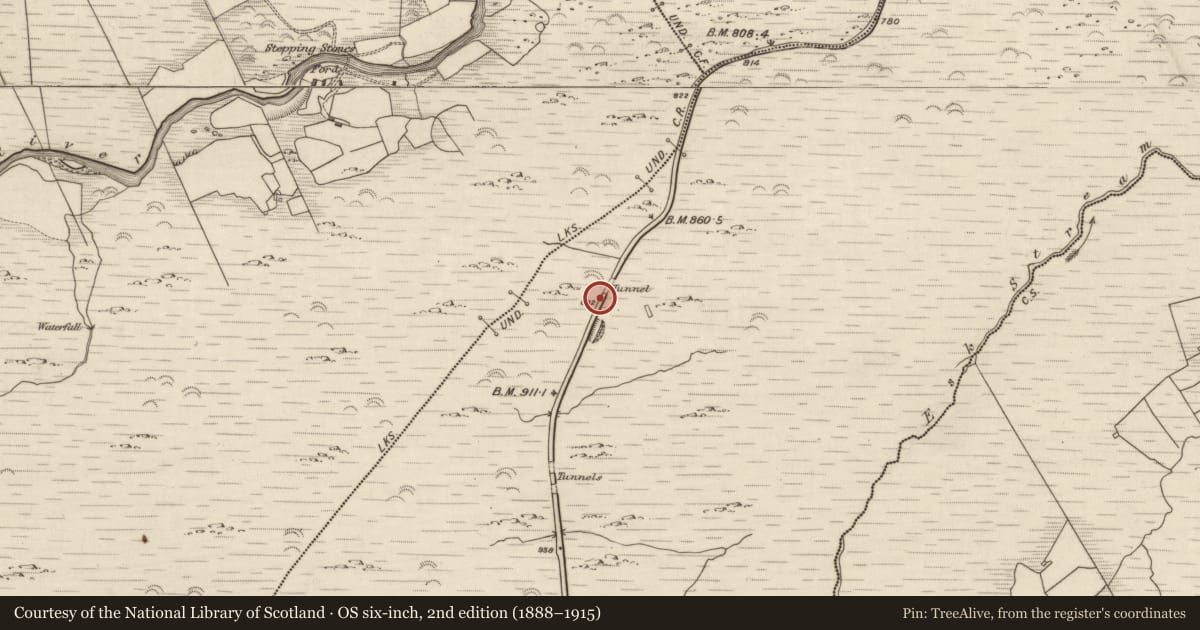Ordnance Survey six-inch map, 2nd edition (1888–1915) covering the location of Tunnel, Releagh, County Kerry, with a pin at the register's coordinates