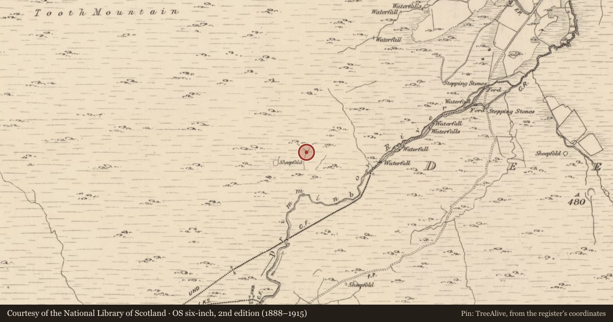 Ordnance Survey six-inch map, 2nd edition (1888–1915) covering the location of Field boundary, Shronebirrane, County Kerry, with a pin at the register's coordinates