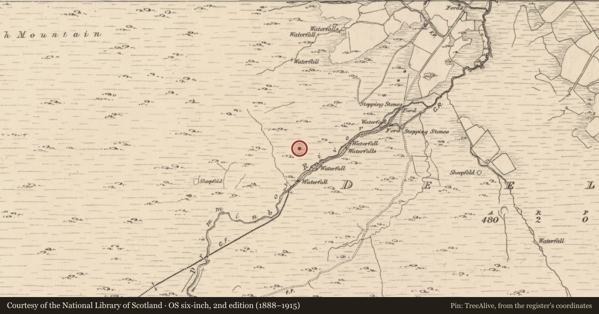 Ordnance Survey six-inch map, 2nd edition (1888–1915) covering the location of Field boundary, Shronebirrane, County Kerry, with a pin at the register's coordinates