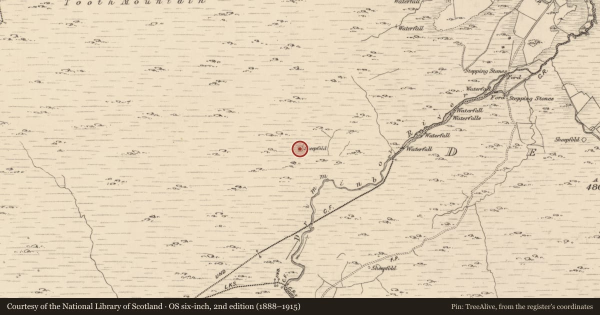 Ordnance Survey six-inch map, 2nd edition (1888–1915) covering the location of Ringfort - cashel, Shronebirrane, County Kerry, with a pin at the register's coordinates