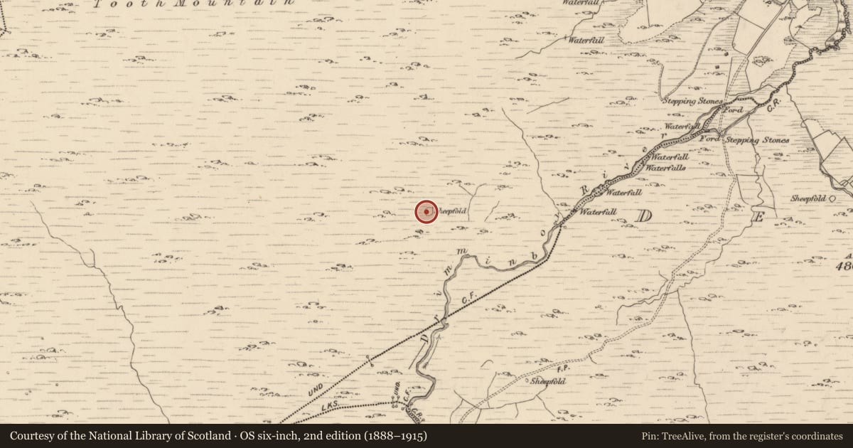 Ordnance Survey six-inch map, 2nd edition (1888–1915) covering the location of Hut site, Shronebirrane, County Kerry, with a pin at the register's coordinates