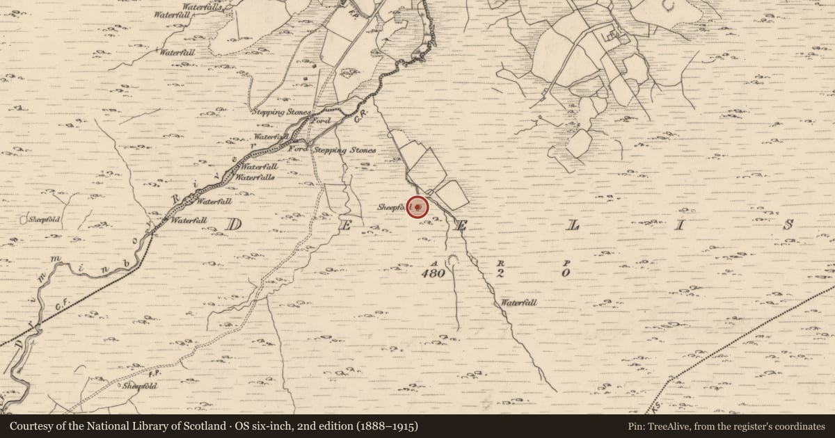 Ordnance Survey six-inch map, 2nd edition (1888–1915) covering the location of Enclosure, Deelis, County Kerry, with a pin at the register's coordinates