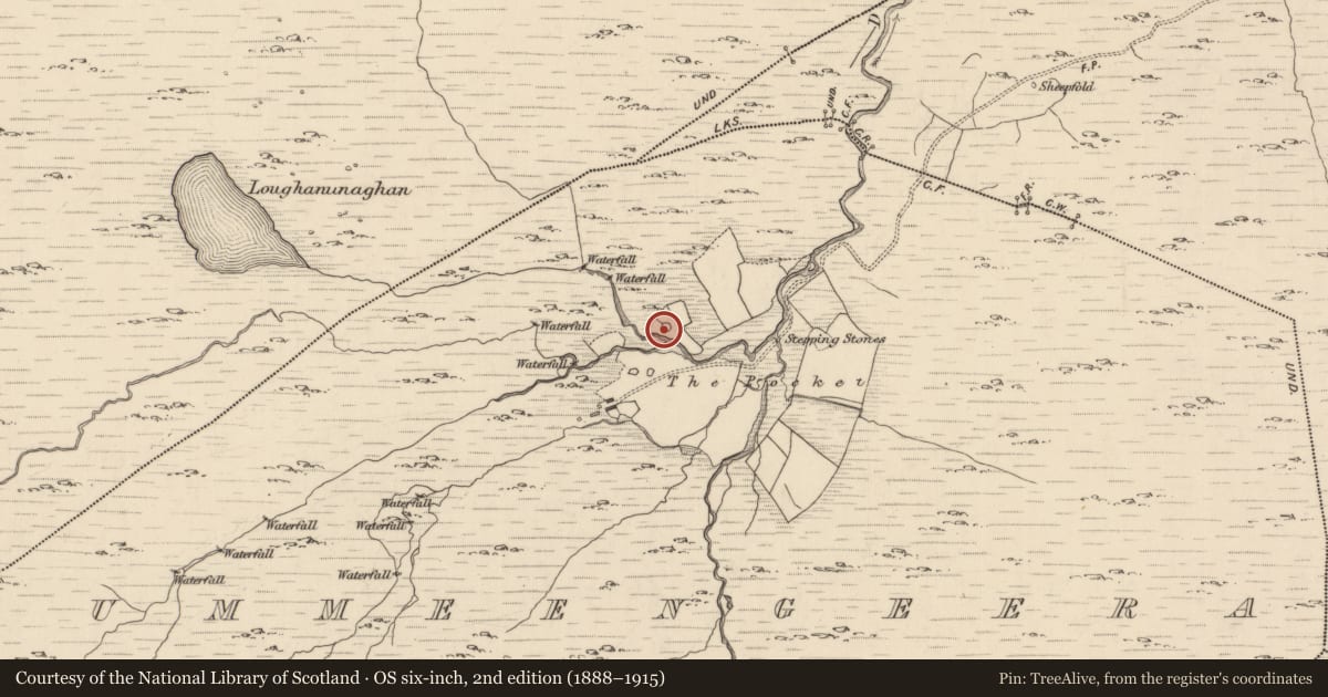 Ordnance Survey six-inch map, 2nd edition (1888–1915) covering the location of Enclosure, Cummeengeera, County Kerry, with a pin at the register's coordinates