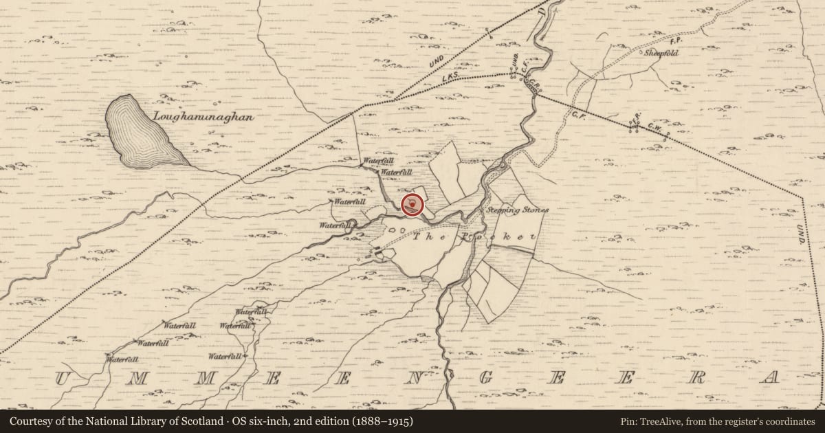 Ordnance Survey six-inch map, 2nd edition (1888–1915) covering the location of Standing stone, Cummeengeera, County Kerry, with a pin at the register's coordinates