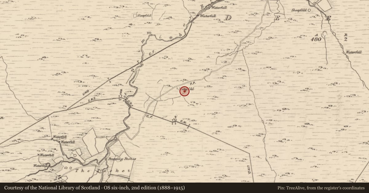Ordnance Survey six-inch map, 2nd edition (1888–1915) covering the location of Field boundary, Deelis, County Kerry, with a pin at the register's coordinates
