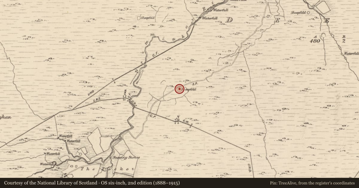 Ordnance Survey six-inch map, 2nd edition (1888–1915) covering the location of Hut site, Deelis, County Kerry, with a pin at the register's coordinates