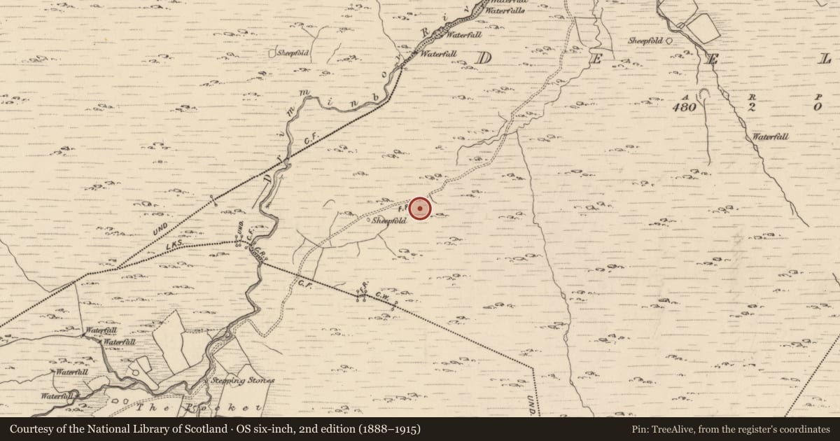 Ordnance Survey six-inch map, 2nd edition (1888–1915) covering the location of Charcoal-making site, Deelis, County Kerry, with a pin at the register's coordinates