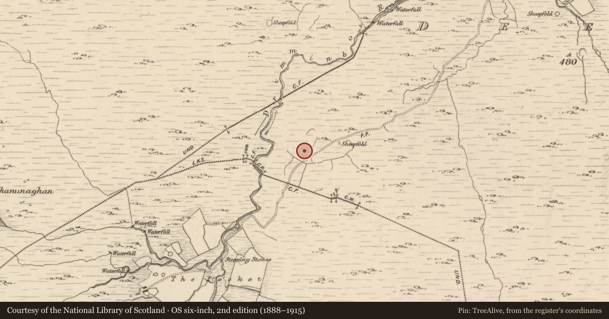 Ordnance Survey six-inch map, 2nd edition (1888–1915) covering the location of Enclosure, Deelis, County Kerry, with a pin at the register's coordinates