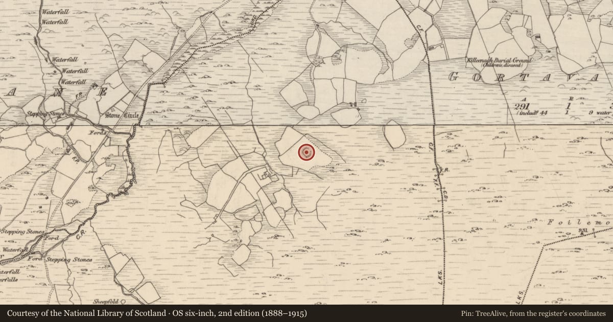 Ordnance Survey six-inch map, 2nd edition (1888–1915) covering the location of Ringfort - rath, Deelis, County Kerry, with a pin at the register's coordinates