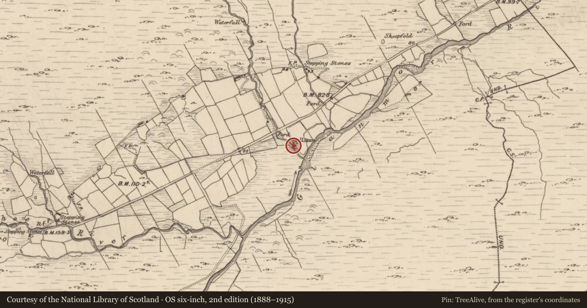 Ordnance Survey six-inch map, 2nd edition (1888–1915) covering the location of Megalithic structure, Glanmore, County Kerry, with a pin at the register's coordinates