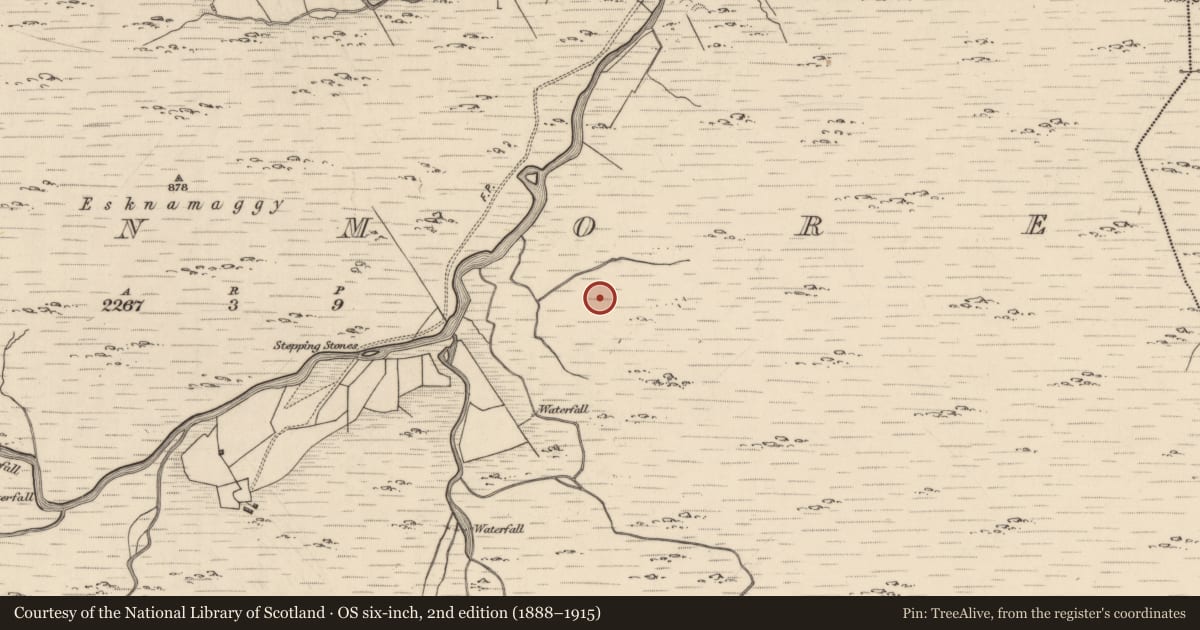 Ordnance Survey six-inch map, 2nd edition (1888–1915) covering the location of Enclosure, Glanmore, County Kerry, with a pin at the register's coordinates