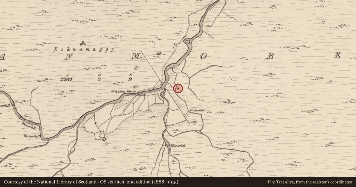 Ordnance Survey six-inch map, 2nd edition (1888–1915) covering the location of Enclosure, Glanmore, County Kerry, with a pin at the register's coordinates