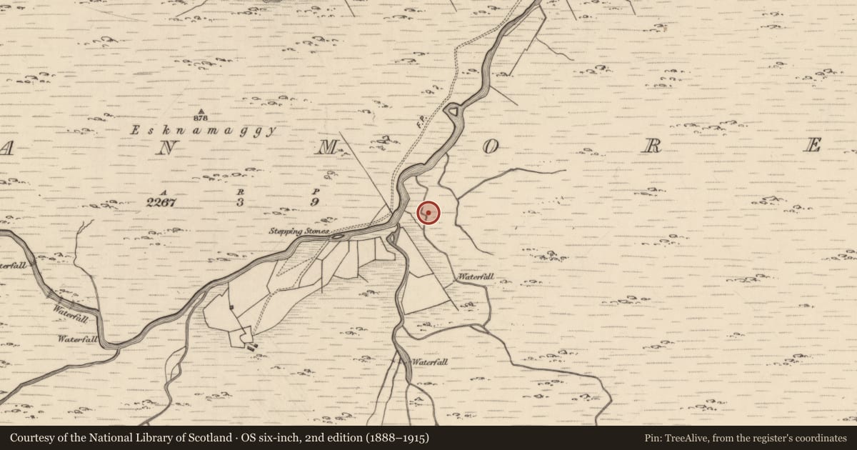 Ordnance Survey six-inch map, 2nd edition (1888–1915) covering the location of Hut site, Glanmore, County Kerry, with a pin at the register's coordinates