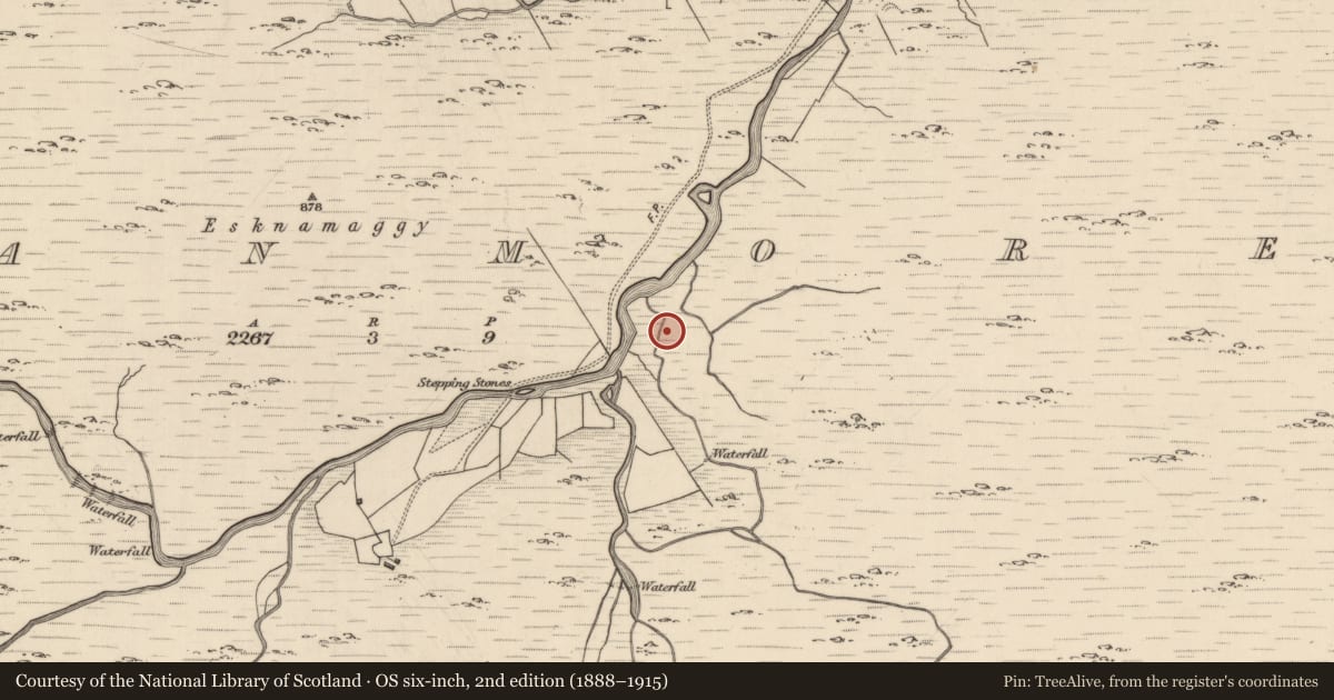 Ordnance Survey six-inch map, 2nd edition (1888–1915) covering the location of Hut site, Glanmore, County Kerry, with a pin at the register's coordinates