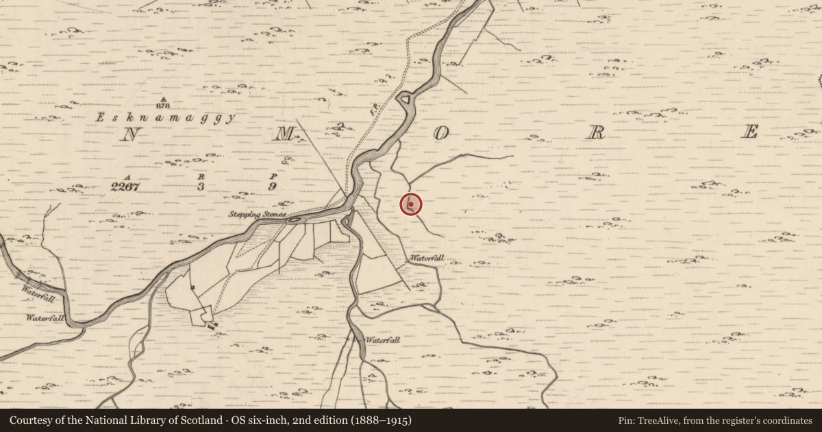 Ordnance Survey six-inch map, 2nd edition (1888–1915) covering the location of Hut site, Glanmore, County Kerry, with a pin at the register's coordinates