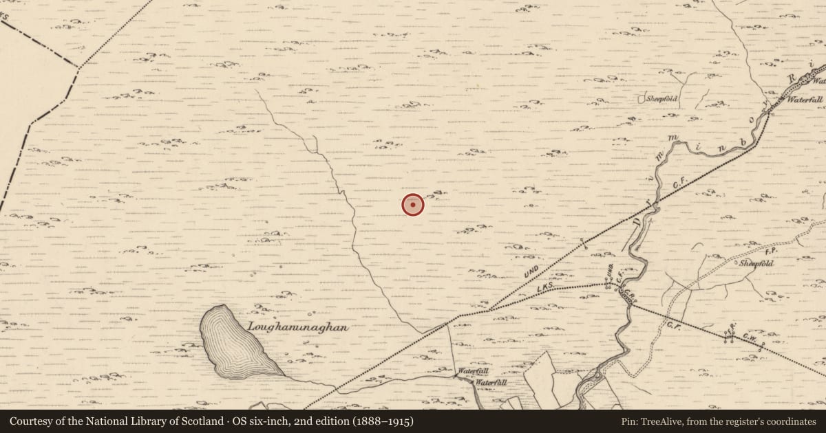 Ordnance Survey six-inch map, 2nd edition (1888–1915) covering the location of Hut site, Shronebirrane, County Kerry, with a pin at the register's coordinates