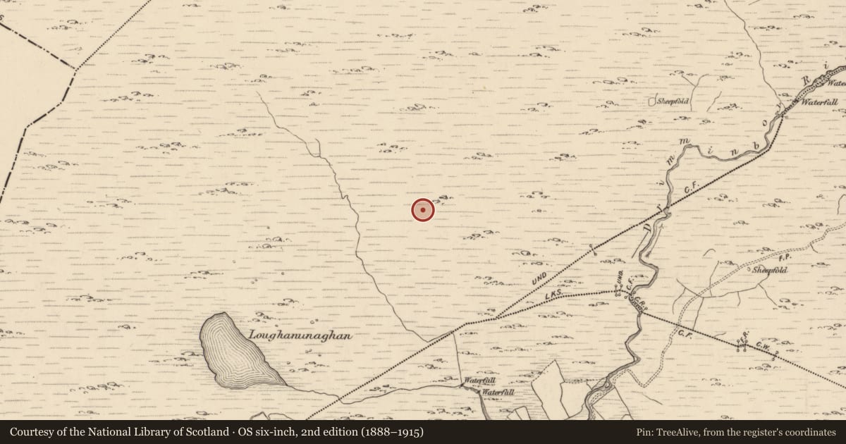 Ordnance Survey six-inch map, 2nd edition (1888–1915) covering the location of Hut site, Shronebirrane, County Kerry, with a pin at the register's coordinates