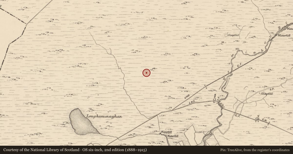 Ordnance Survey six-inch map, 2nd edition (1888–1915) covering the location of Hut site, Shronebirrane, County Kerry, with a pin at the register's coordinates